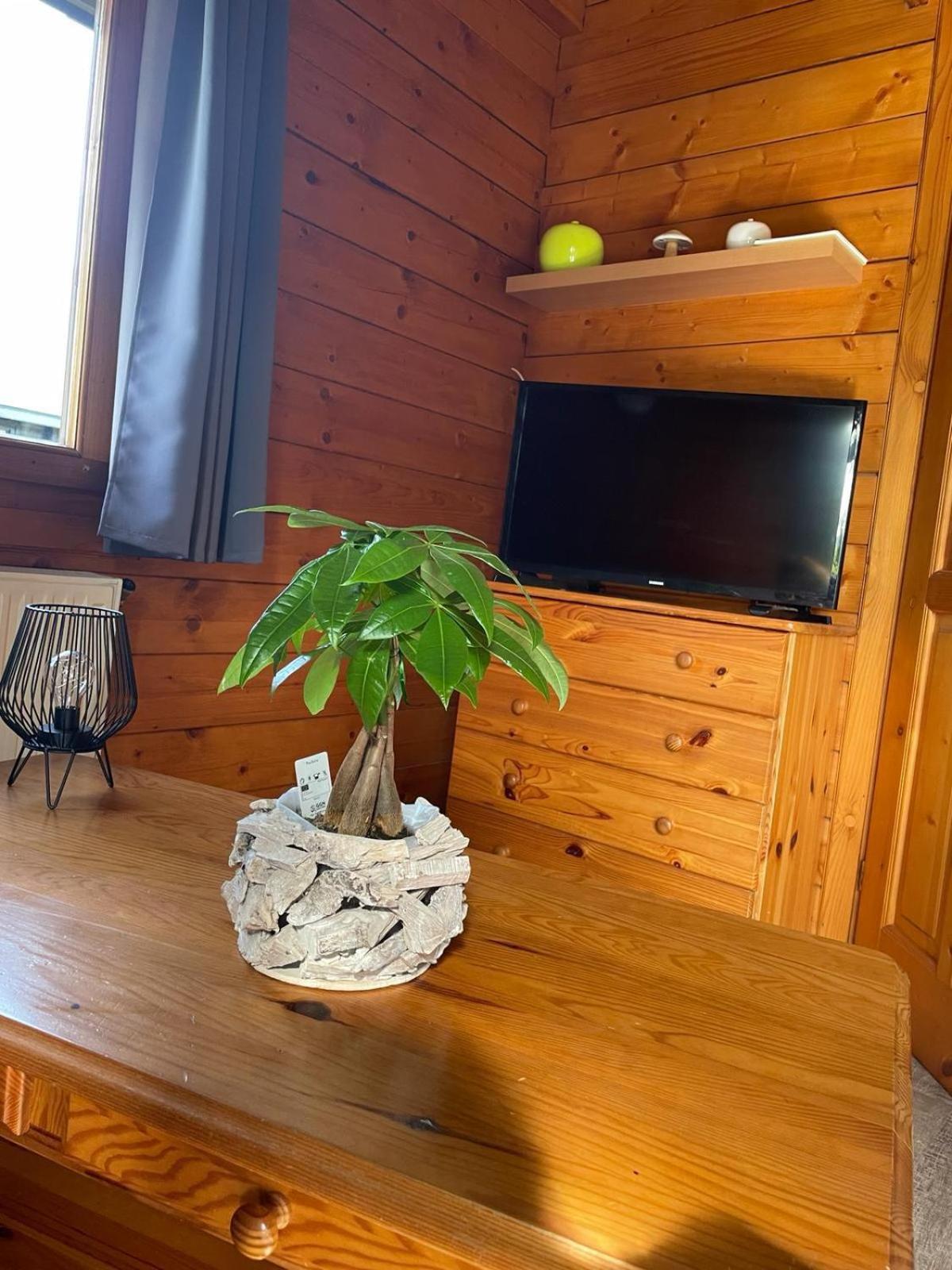 Chalet Ardennais Fromelennes Eksteriør bilde
